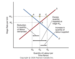 Effect of minimum wage on labour market