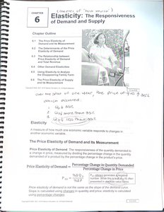 Chapter 6: Elasticity introduction page
