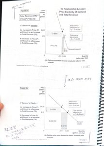 Graphs showing elasticity and total revenue