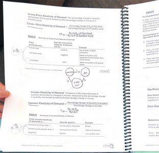 Cross-price and income elasticity formulas and examples