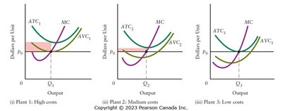Plants of different vintages in an industry with continuous technological progress