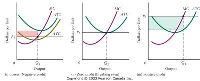 Alternative short-run profits of a competitive firm