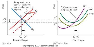 Effect of new entrants attracted by positive profits