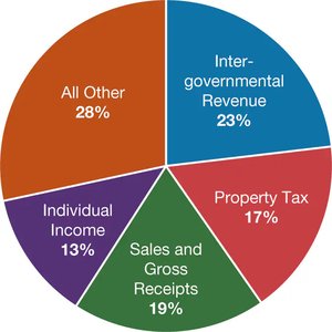 Pie chart of state tax revenue sources