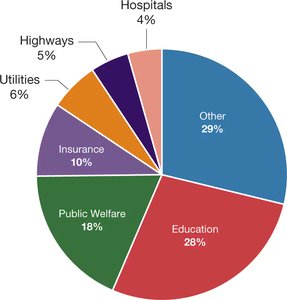 Pie chart of state tax uses