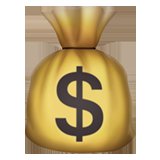 Money bag representing budget constraint