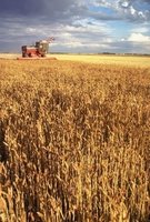 Agricultural technology as a supply shifter