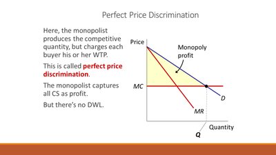 Perfect Price Discrimination graph