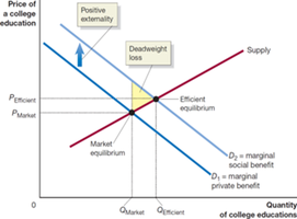Graph showing positive externality and deadweight loss in education market