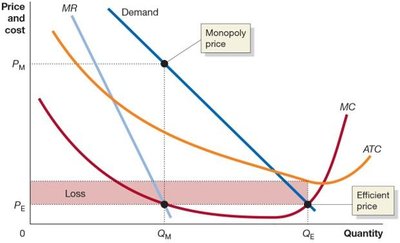 Regulating a natural monopoly: efficient price causes loss