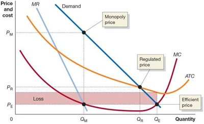 Regulated price allows zero economic profit