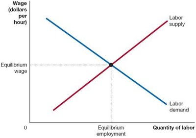 Labor market equilibrium graph showing intersection of labor supply and demand curves