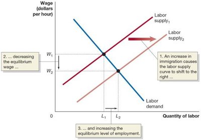 Graph showing rightward shift in labor supply, decreasing wage and increasing employment