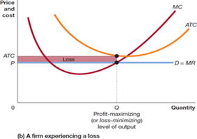 Firm experiencing a loss at the profit-maximizing output