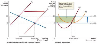 Effect of entry on economic profit