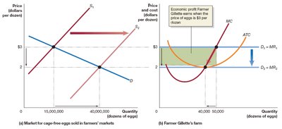 Entry of firms and economic profit