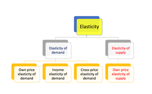 Microeconomics Elasticity Study Guide: Key Concepts & Types | Notes