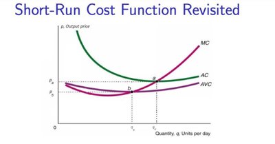 Short-Run Cost Function Revisited