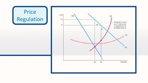Optimal price regulation graph