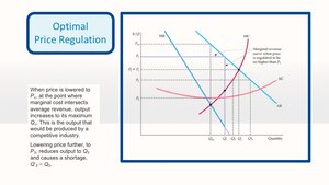 Optimal price regulation with welfare comparison table