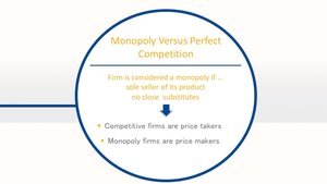 Monopoly versus perfect competition summary