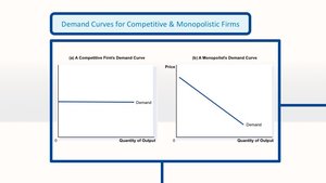 Demand curves for competitive and monopolistic firms