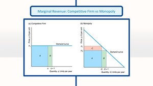 Marginal revenue for competitive firm vs monopoly