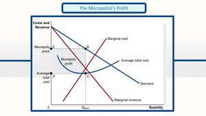 The monopolist's profit