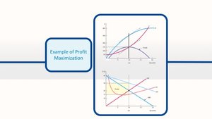 Example of profit maximization