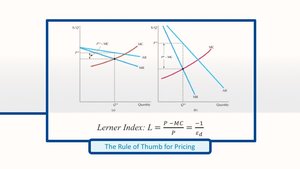 Lerner Index and price markup