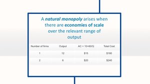 Natural monopoly cost table