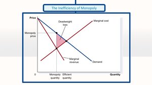 The inefficiency of monopoly: deadweight loss