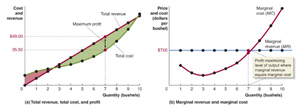 Firm's horizontal demand curve for wheat