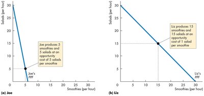 Joe's and Liz's PPFs