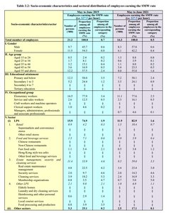 Socio-economic characteristics of SMW earners