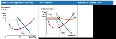 Short-run economic loss diagram