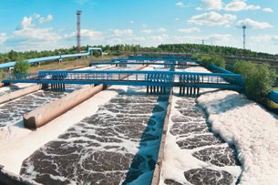 Effluent fee impact on input choice