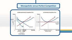 Oligopoly characteristics and examples
