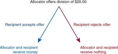 Ultimatum game decision tree