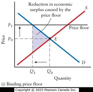 Market Inefficiency with Price Floor