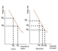 Spillover and threat effects in union and nonunion sectors
