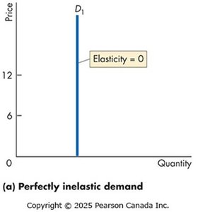 Perfectly inelastic demand