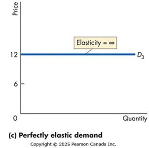 Perfectly elastic demand