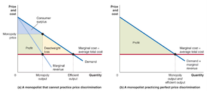 Natural monopoly cost and demand curves