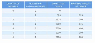 Marginal product of labour table
