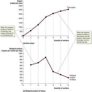 Total output and marginal product of labour graph