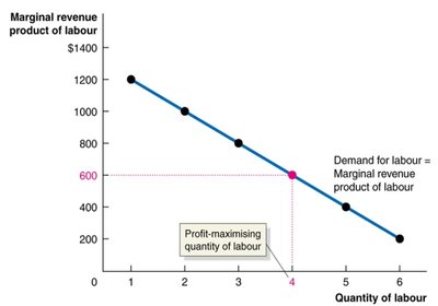 Marginal revenue product of labour and profit-maximizing quantity