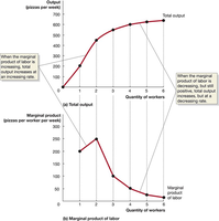 Graph of total output and marginal product of labor