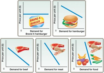 Elasticity and market boundaries illustrated with demand curves for various food categories