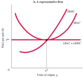 Perfect competition: representative firm equilibrium